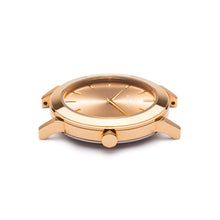 The Audenza 40 (Gold)